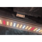100W LED Bar groei en bloei 7