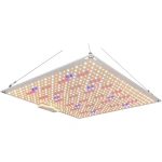 320W Samsung Quantum eco groei en bloei