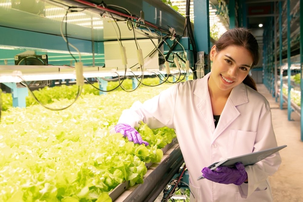 zelf planten kweken